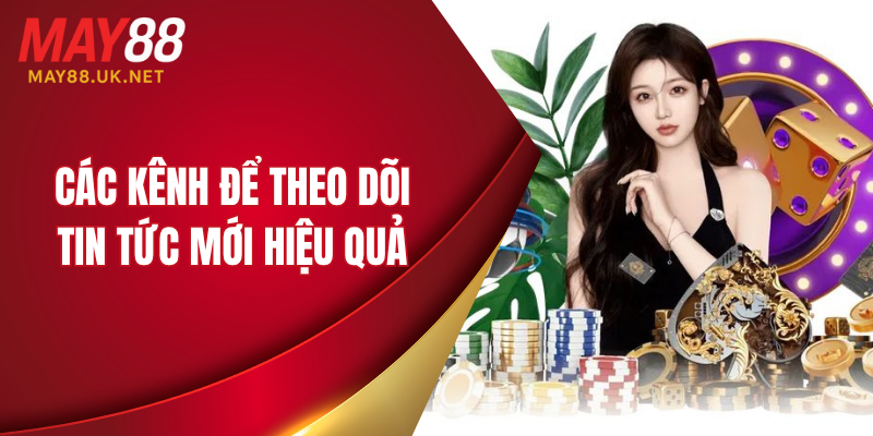 Các kênh để theo dõi tin tức mới hiệu quả