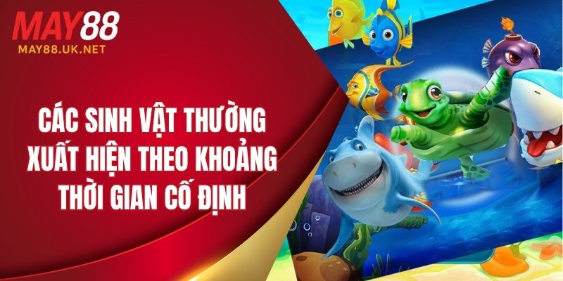 Các sinh vật thường xuất hiện theo thời gian cố định