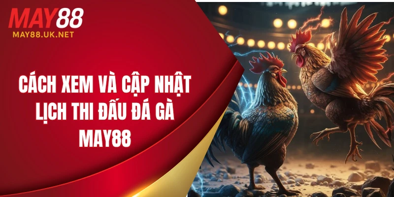 Lịch Thi Đấu Đá Gà MAY88 Mới Nhất Dành Cho Người Chơi 3 Cách xem và cập nhật lịch thi đấu đá gà MAY88