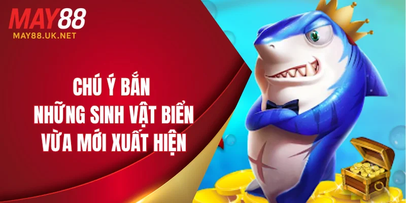 Chú ý bắn những sinh vật biển vừa xuất hiện