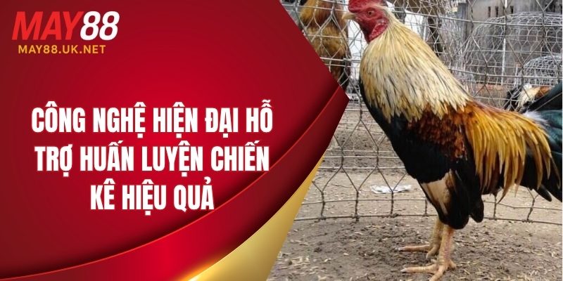 Công nghệ hiện đại hỗ trợ huấn luyện chiến kê hiệu quả