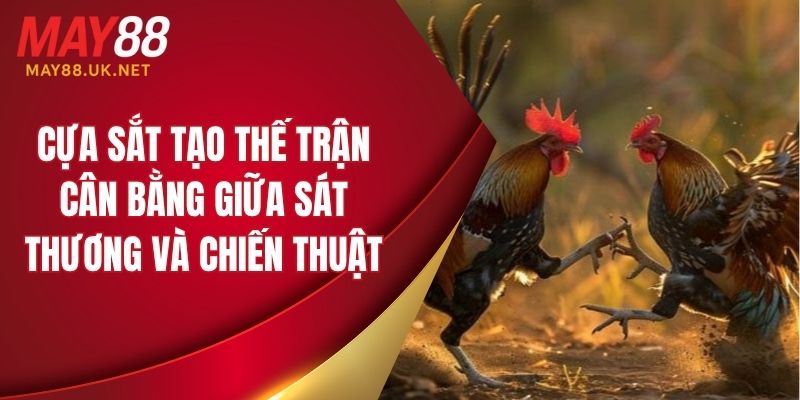 Cựa sắt tạo thế trận cân bằng giữa sát thương và chiến thuật
