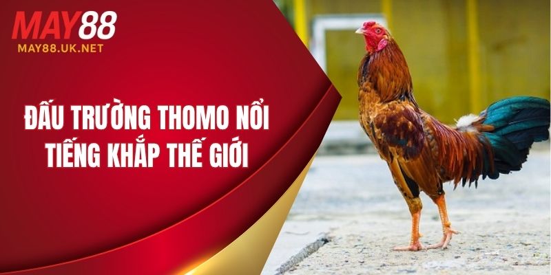 Đấu trường Thomo nổi tiếng khắp thế giới