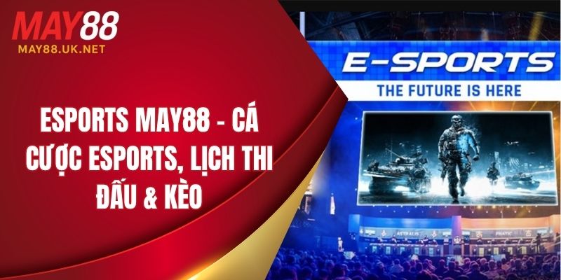 esports may88