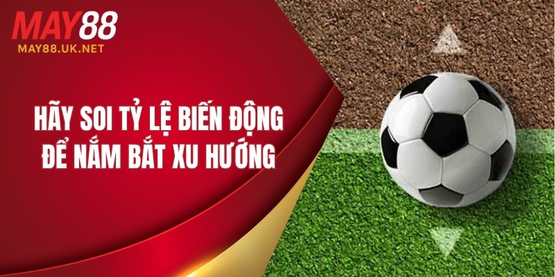 Hãy soi tỷ lệ biến động để nắm bắt xu hướng