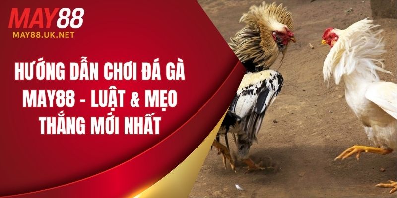 huong dan choi da ga may88