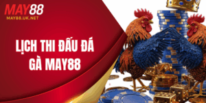 lich thi dau da ga may88 thumb