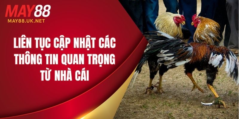 Liên tục cập nhật các thông tin quan trọng từ nhà cái