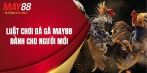 luat choi da ga may88