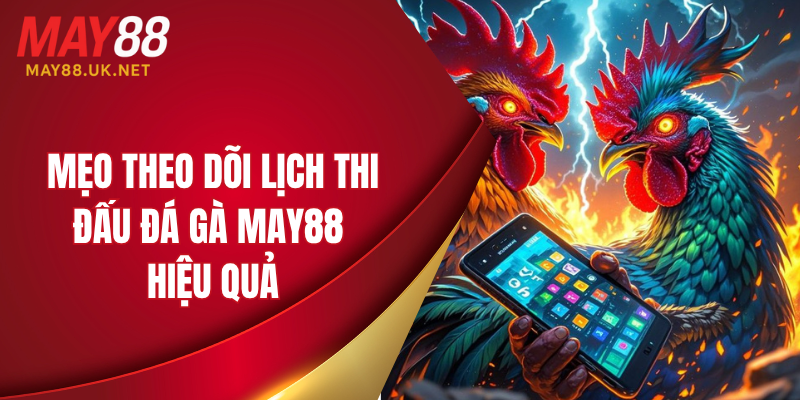 Lịch Thi Đấu Đá Gà MAY88 Mới Nhất Dành Cho Người Chơi 5 Mẹo theo dõi lịch thi đấu đá gà MAY88 hiệu quả