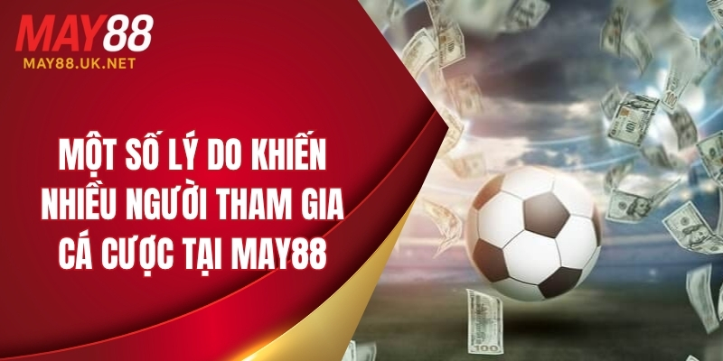Một số lý do khiến nhiều người tham gia cá cược tại MAY88