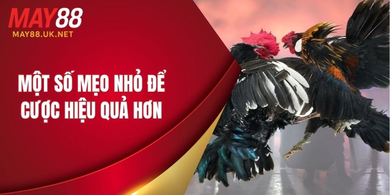 Một số mẹo nhỏ để cược hiệu quả hơn