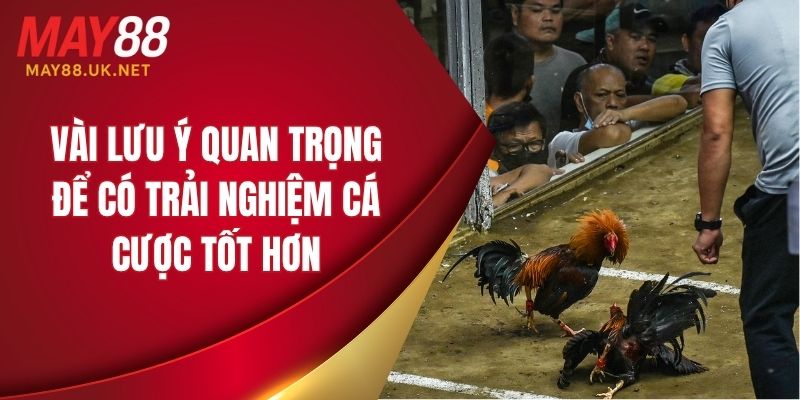 Một vài lưu ý quan trọng để có trải nghiệm cá cược tốt hơn