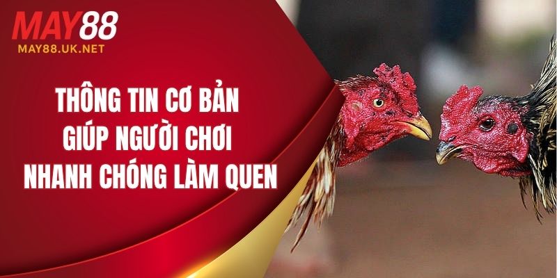 Nắm rõ những thông tin cơ bản giúp người chơi nhanh chóng làm quen
