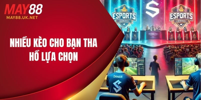 Nhiều kèo cho bạn tha hồ lựa chọn