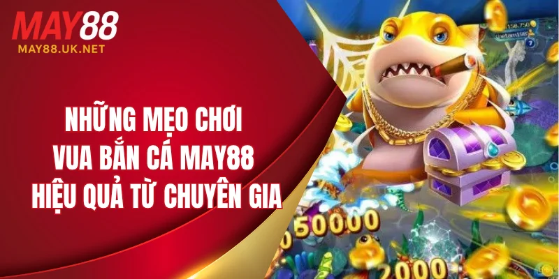 Những mẹo chơi vua bắn cá MAY88 hiệu quả từ chuyên gia