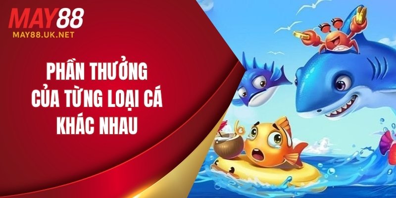 Phần thưởng của từng loại cá khác nhau