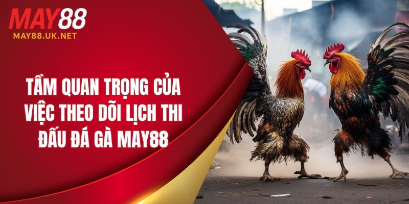 Lịch Thi Đấu Đá Gà MAY88 Mới Nhất Dành Cho Người Chơi 2 Tầm quan trọng của việc theo dõi lịch thi đấu đá gà MAY88.