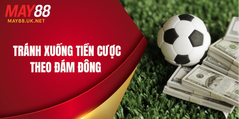 Tránh xuống tiền cược theo đám đông 