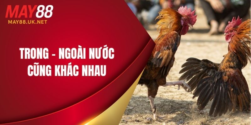 Trong - ngoài nước cũng khác nhau