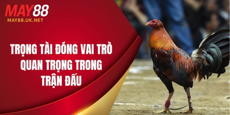 Trọng tài đóng vai trò quan trọng trong trận đấu