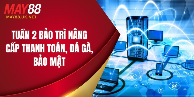 Tuần 2 bảo trì nâng cấp thanh toán, đá gà, bảo mật