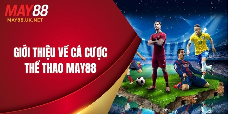 Vài nét sơ lược về cá cược thể thao MAY88
